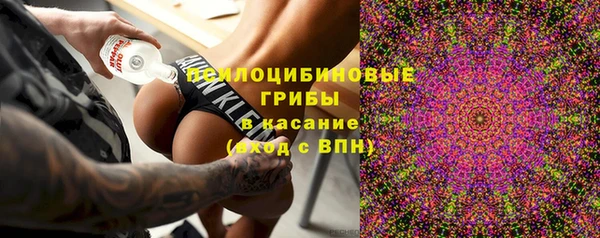 соль ск Верея
